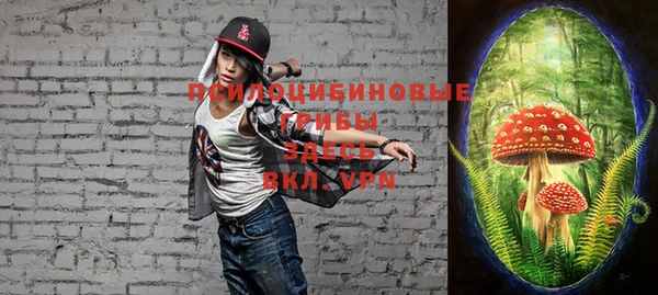 mix Осташков